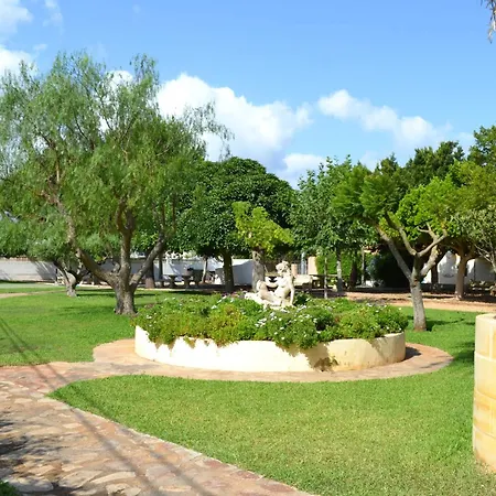 Cid דניה